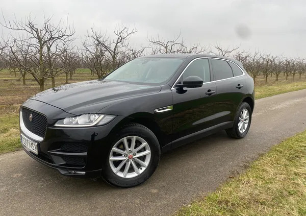 jaguar f-pace staszów Jaguar F-Pace cena 79999 przebieg: 186000, rok produkcji 2016 z Staszów